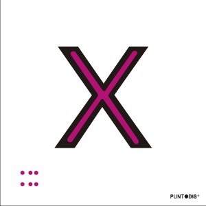 Letra X en aluminio