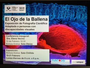 Cartel de la exposición.