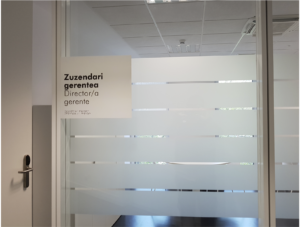 Placa zuzendari