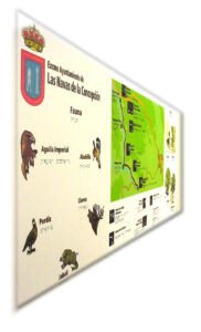 plano accesible en braille y altorrelieve