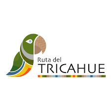 Tricahue