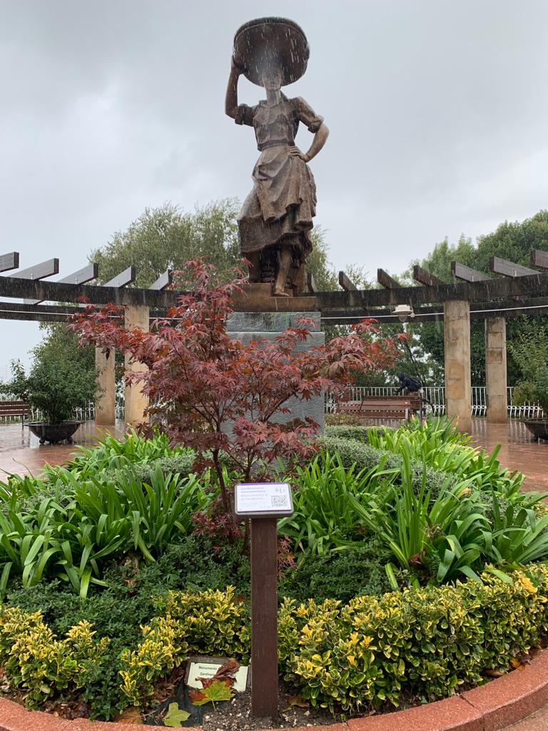 estatua Sardinera con atril