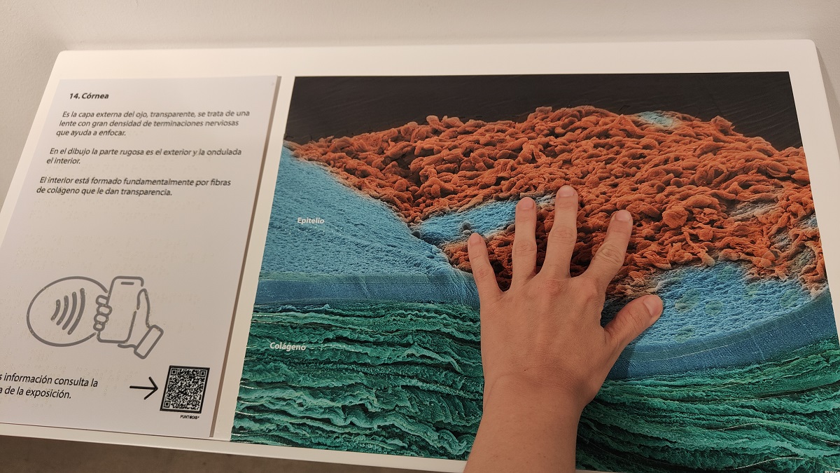 Una mano tocando una representación en la exposición el ojo de la ballena