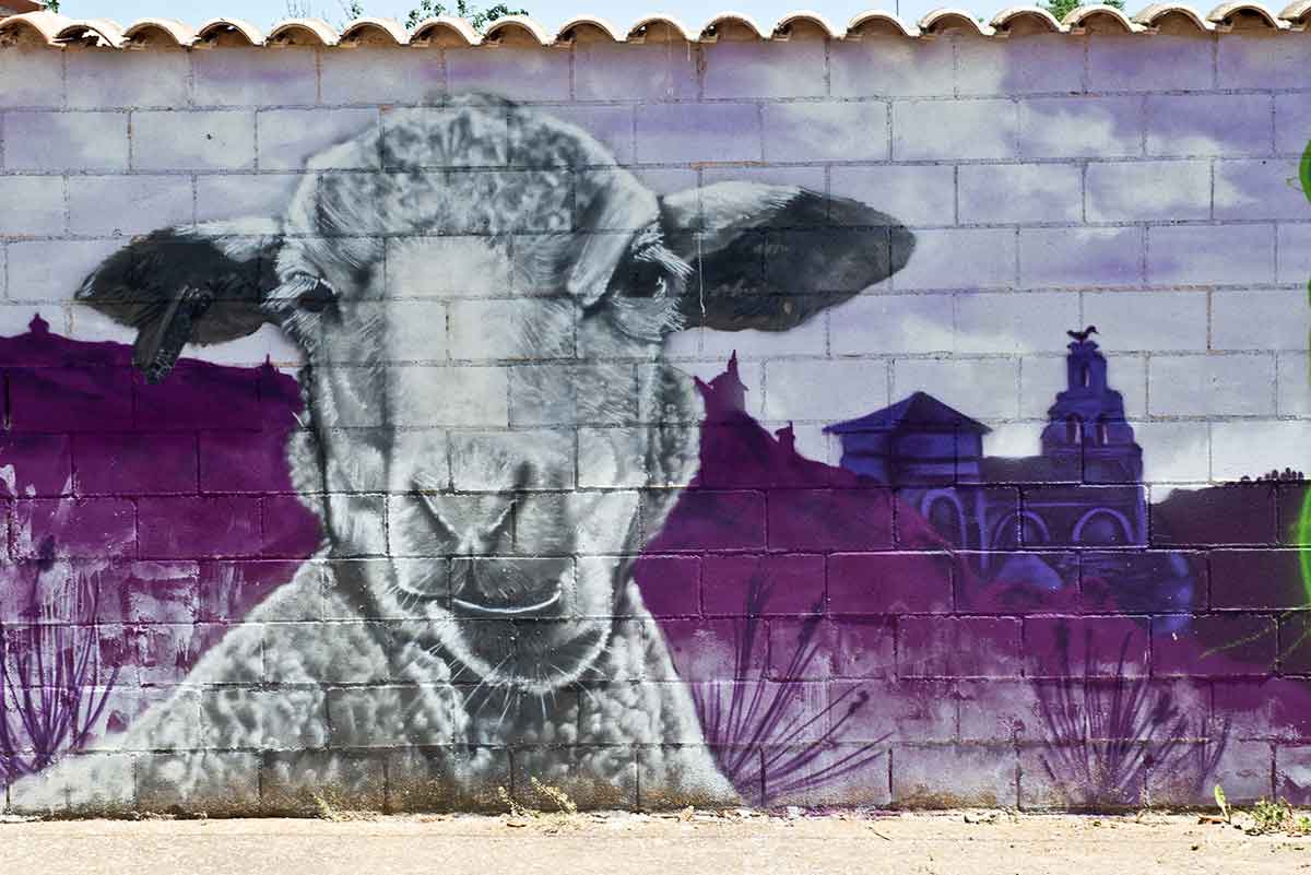 Graffiti de oveja