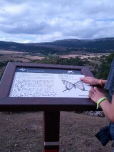 plano accesible en braille y altorrelieve