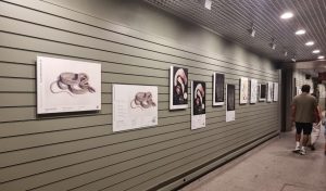 Exposición de Illustraciencia con imágenes con relieve colgadas de la pared