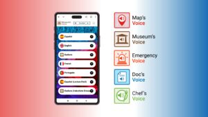 gráfico de los servicios que ofrece Voice