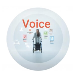 caratula del video de presentación Voice