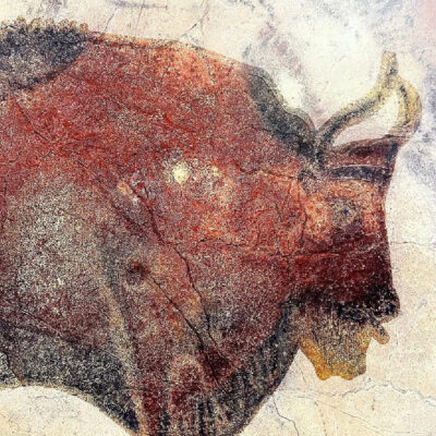 Representación accesible del bisonte de Altamira