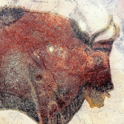 Reproducción del bisonte de Altamira accesible